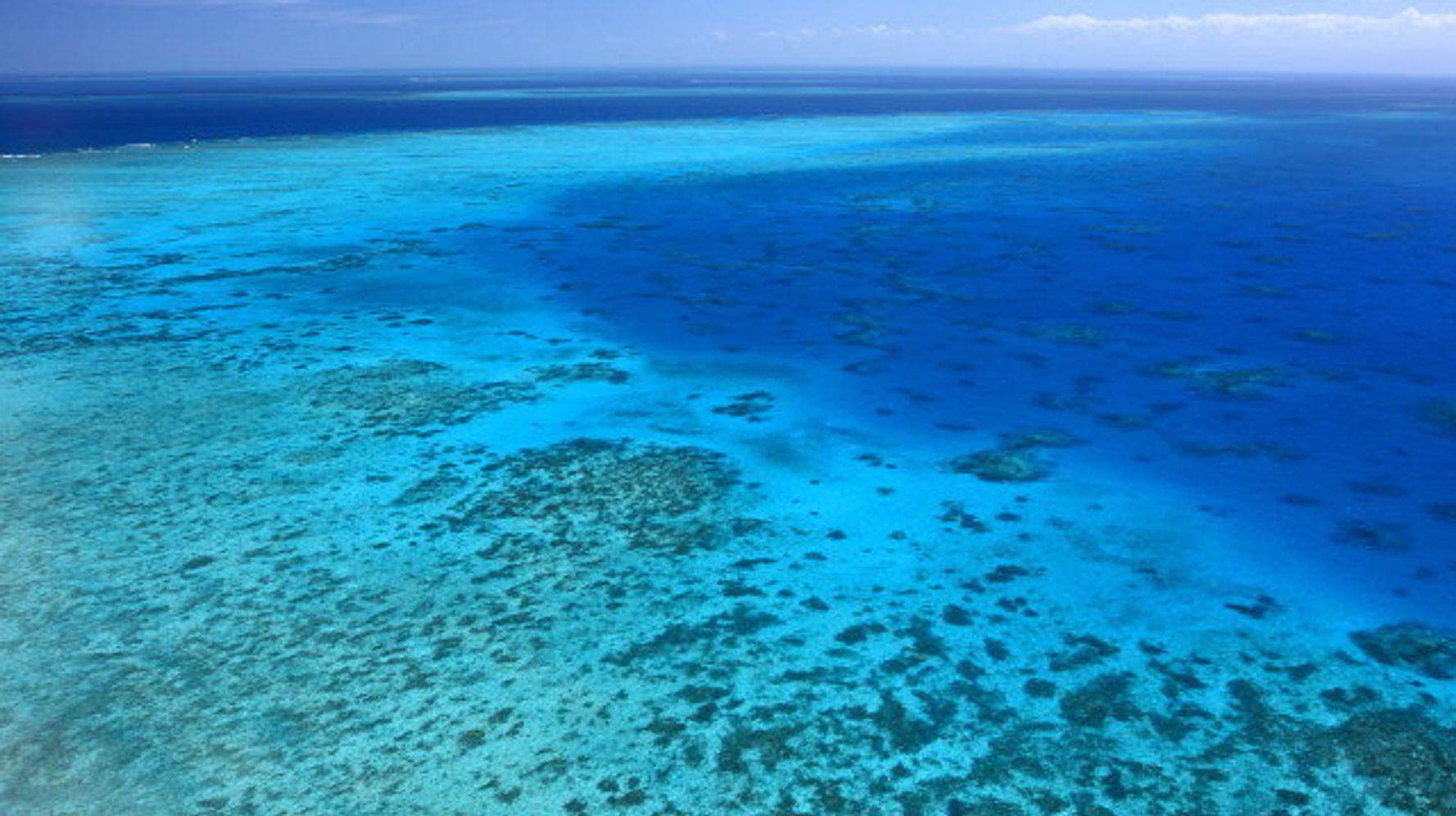 We're Putting the Great Barrier Reef at Risk for This? | HuffPost ...