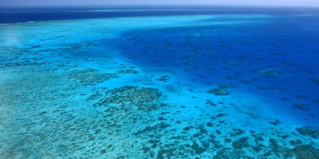 great barrier reef