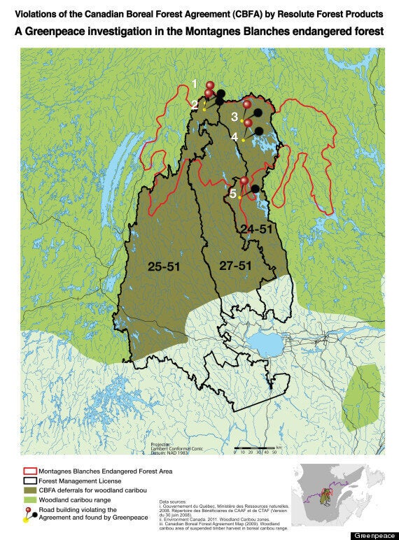 The truth about deforestation in Canada - The Resolute Blog