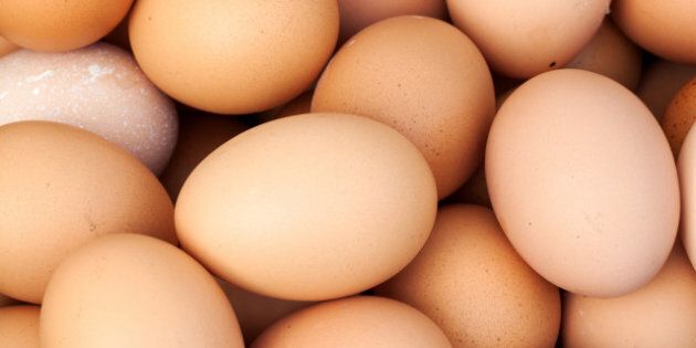 Amazing Eggs: Busting the Cholesterol Myth