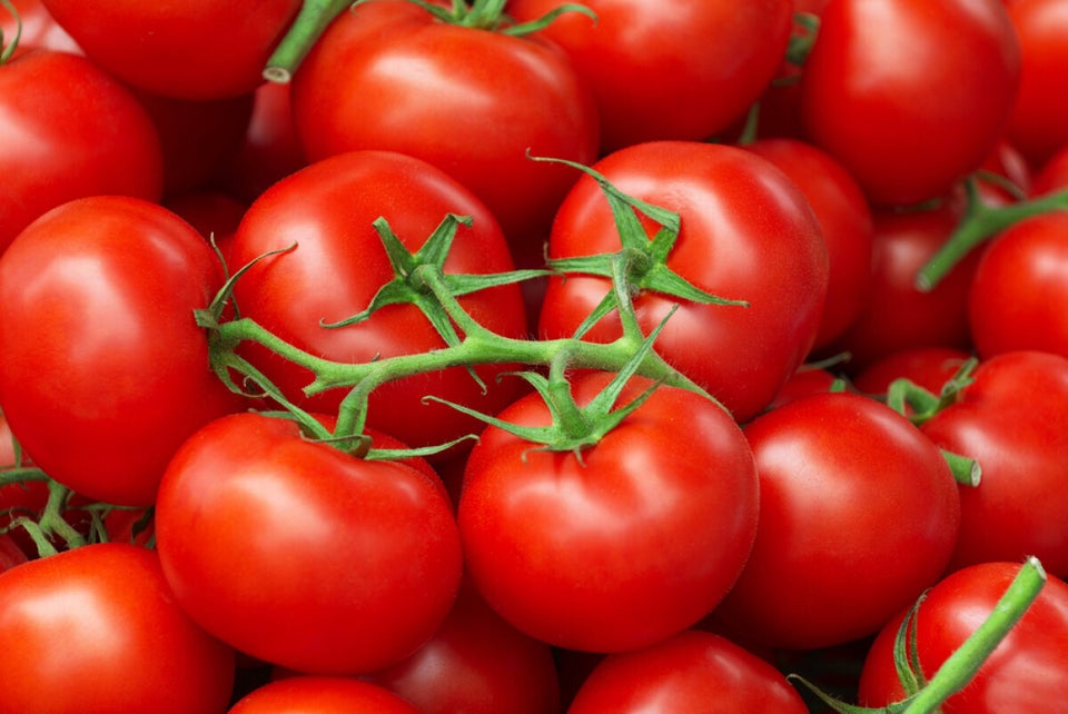 Tomatoes