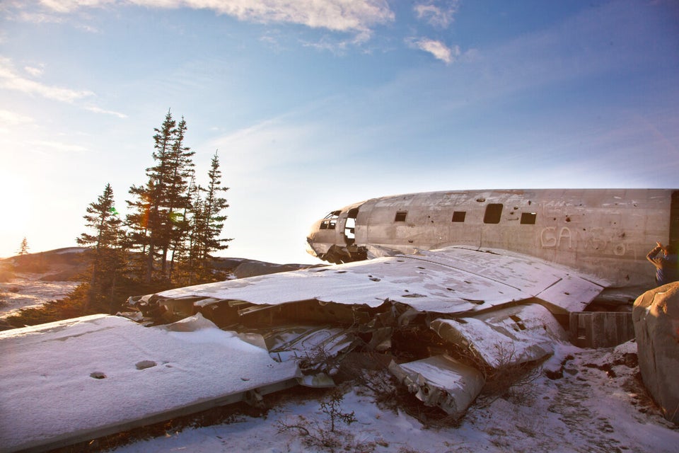 Canada's Polar Bears