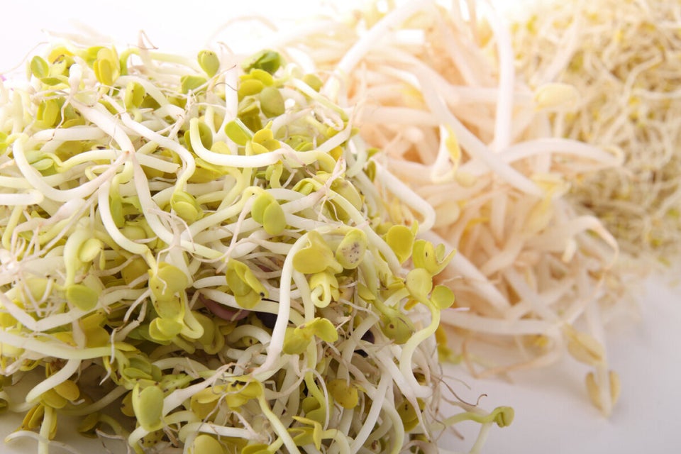 Bean Sprouts