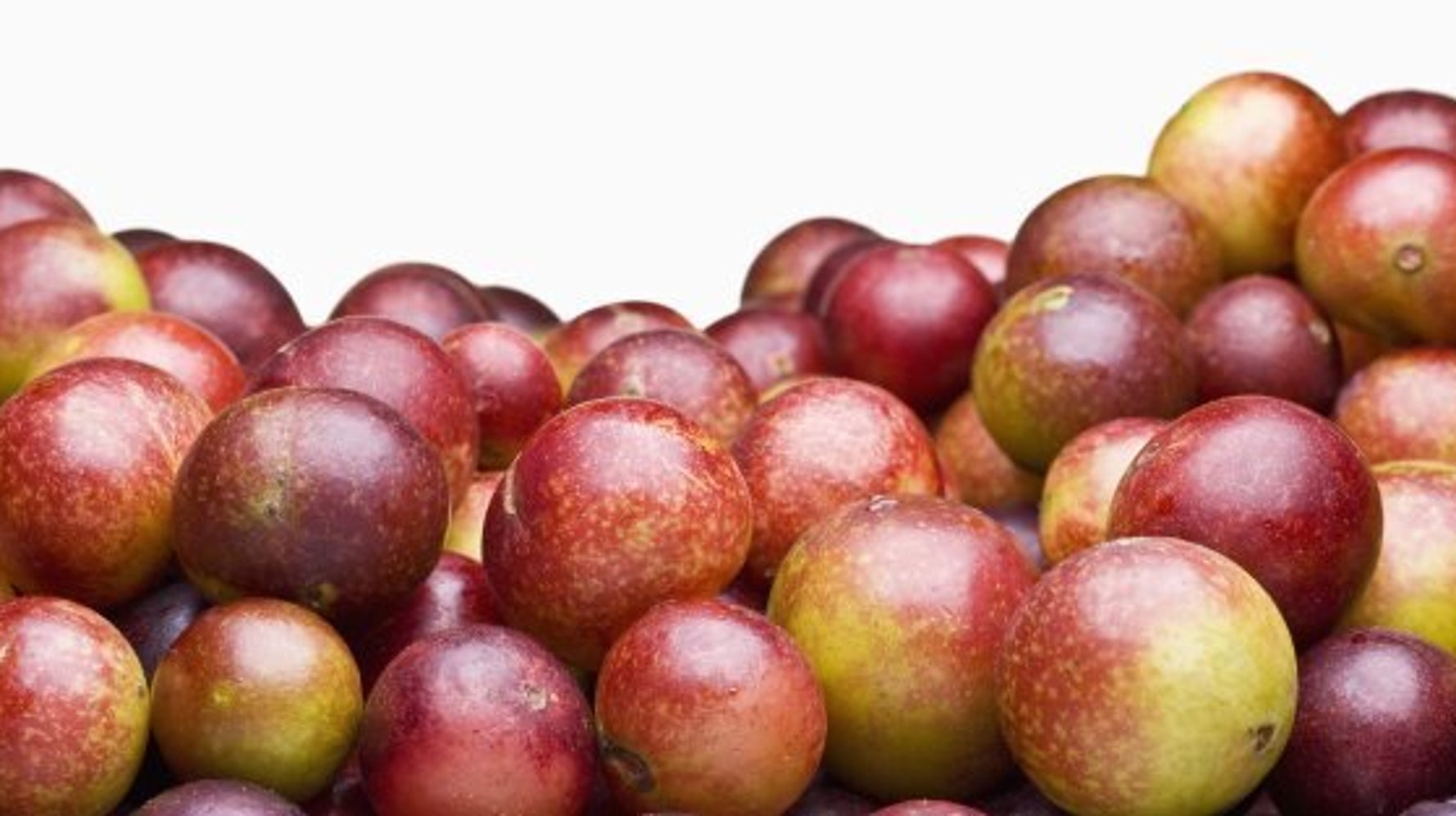 Camu Camu Benefits 11 Things You Need To Know About The Fruit Huffpost Canada Life