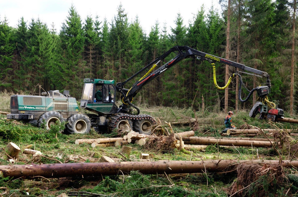 Forestry: 37.4 job-seekers per job