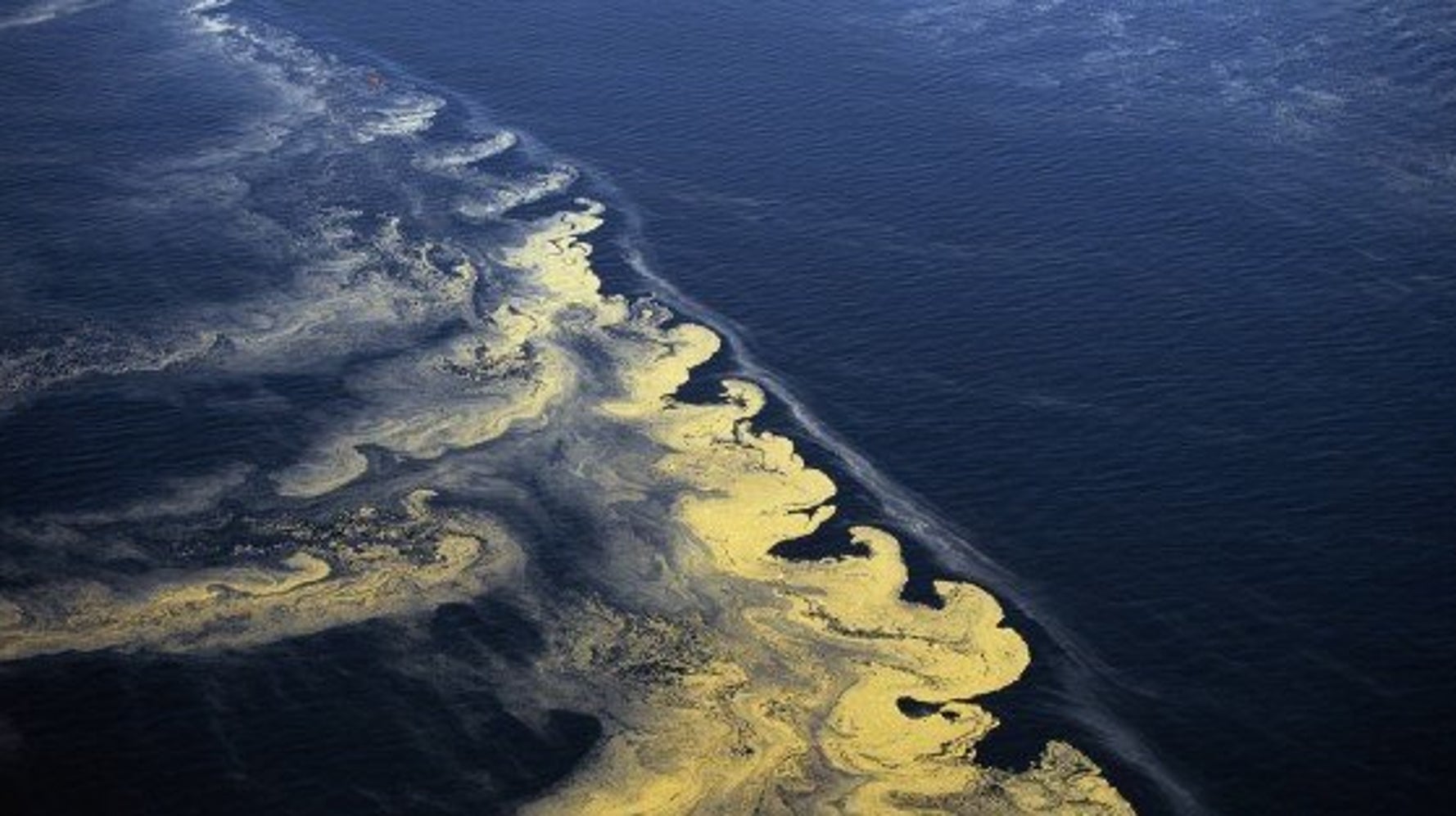 we-are-quickly-turning-the-ocean-into-a-dead-zone-huffpost-news