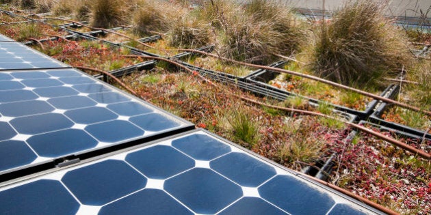 A green building conserves energy and practices sustainability using rooftop solar panels and an outdoor urban garden