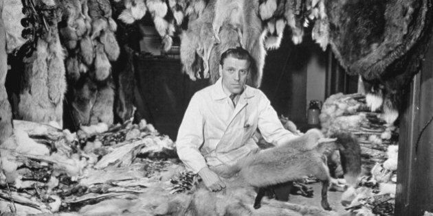 Man sitting among raw furs at the Hudson's Bay Company. (Photo by Wallace Kirkland/Time Life Pictures/Getty Images)