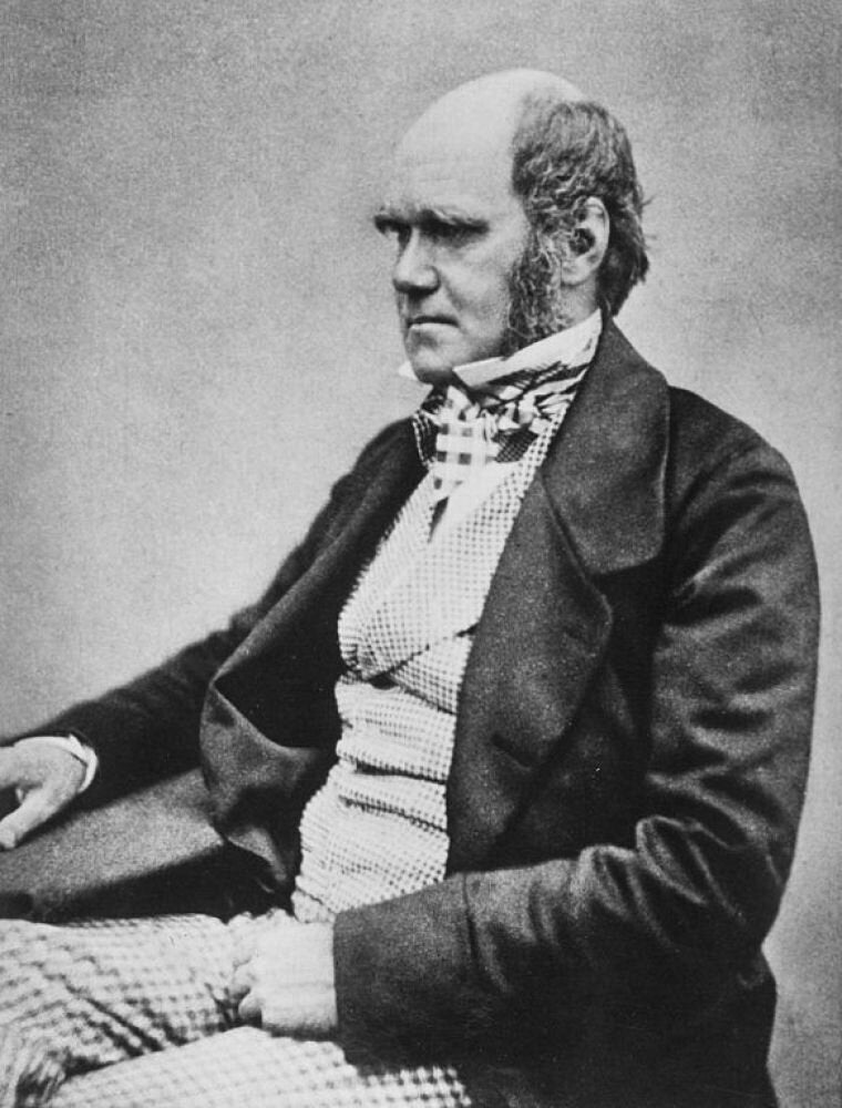 Charles Darwin (1809-1882)