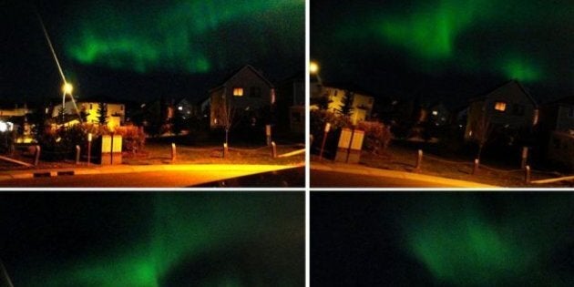 Calgarians take in stunning northern lights display over the