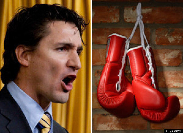 Justin Trudeau Fight