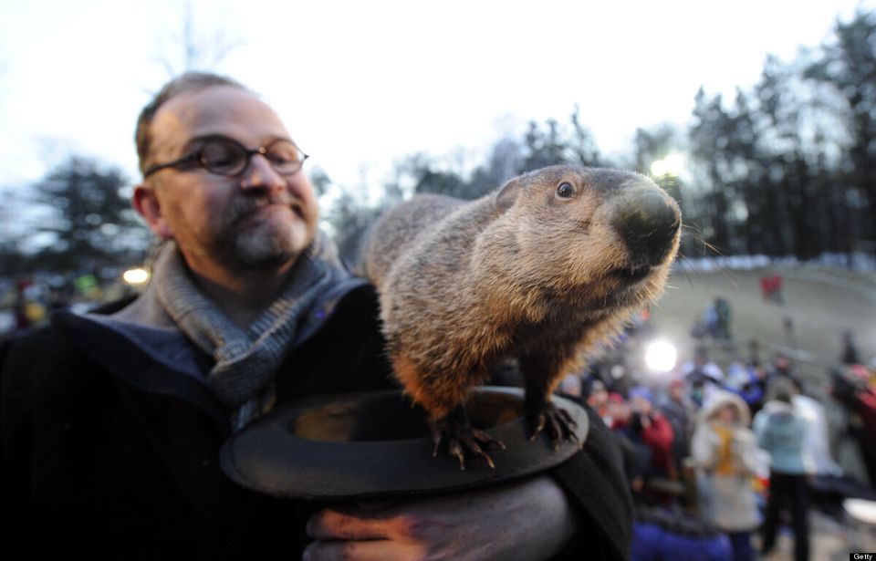 Famous Groundhogs