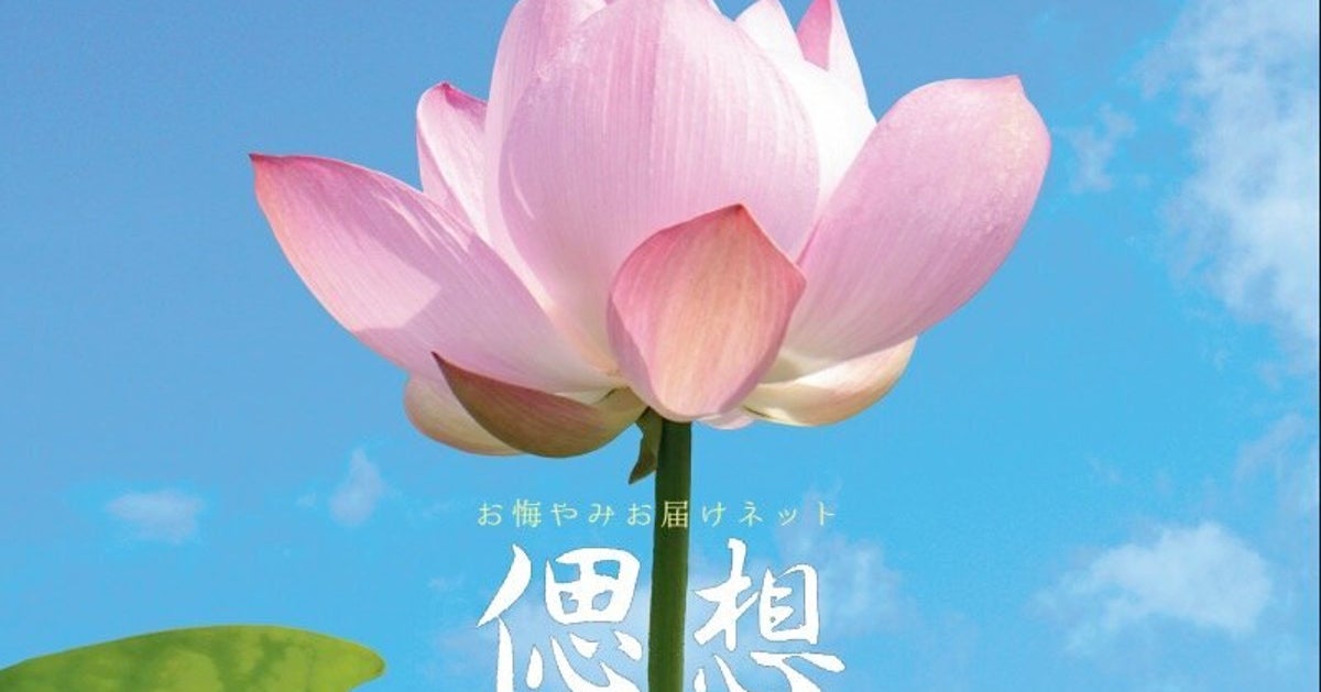 遠く離れた人に突然の不幸 喪主に香典を送ってくれる お悔やみお届けネット 偲想 が誕生 ハフポスト 遠く離れた人に突然の不幸 喪主に香典を送ってくれる お悔やみお届けネット 偲想 が誕生 ハフポスト