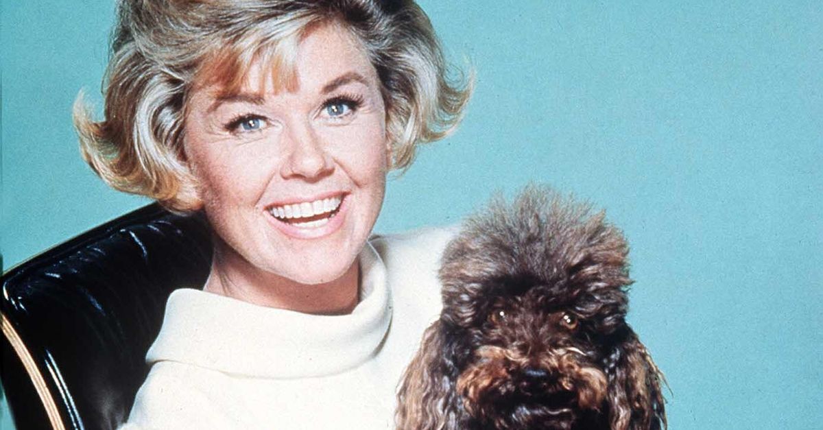 Photos Of Doris Day's Life And Career Through The Years | HuffPost Life