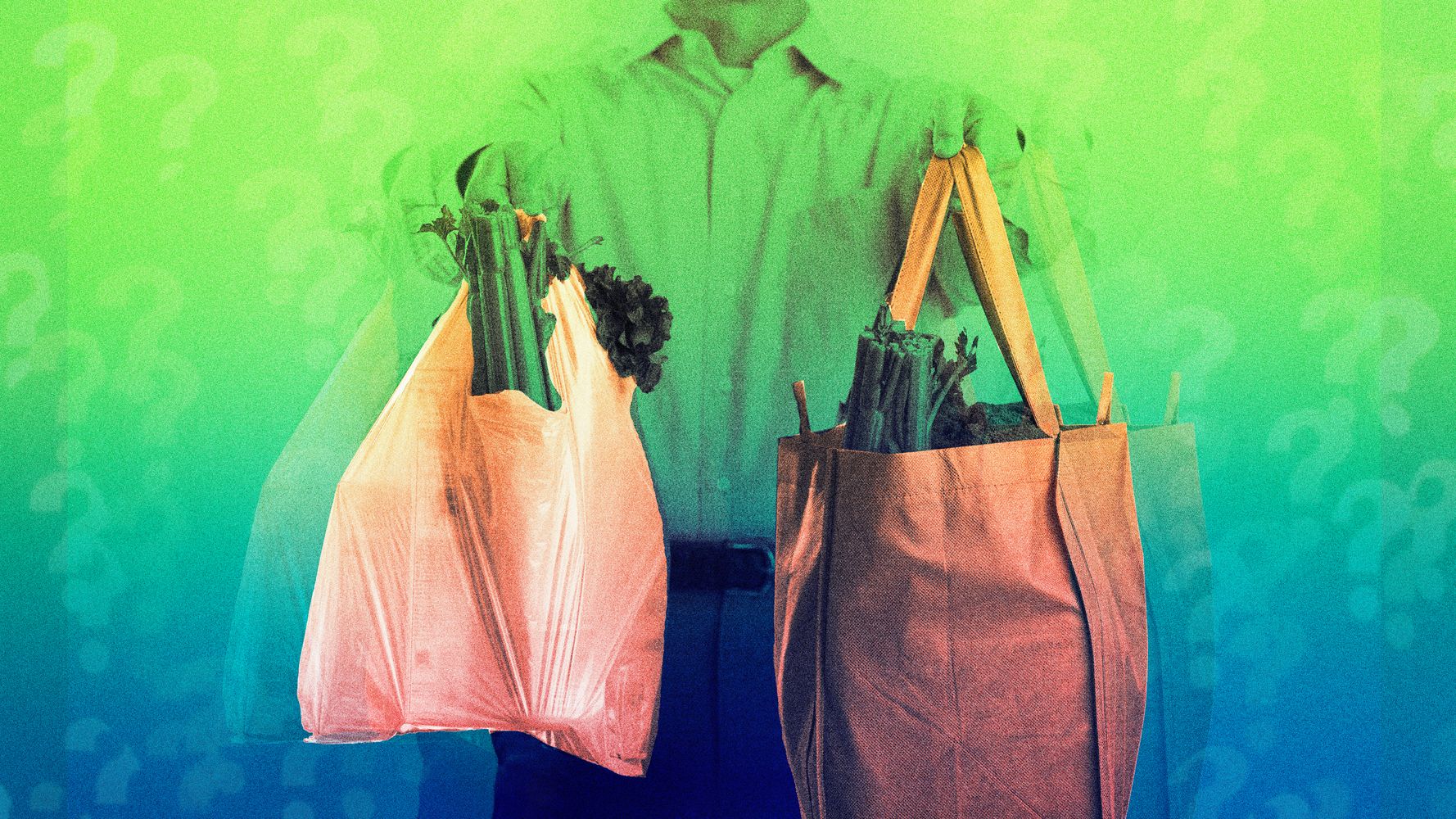 Paper or Plastic Shopping Bags? — Simple Ecology