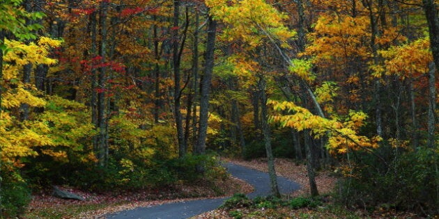 description 1 Fall Foliage wv Winding Country Road | date 2009-10-12 | source http://www. forestwander. com/2009/10/fall-foliage-wv-winding- ...