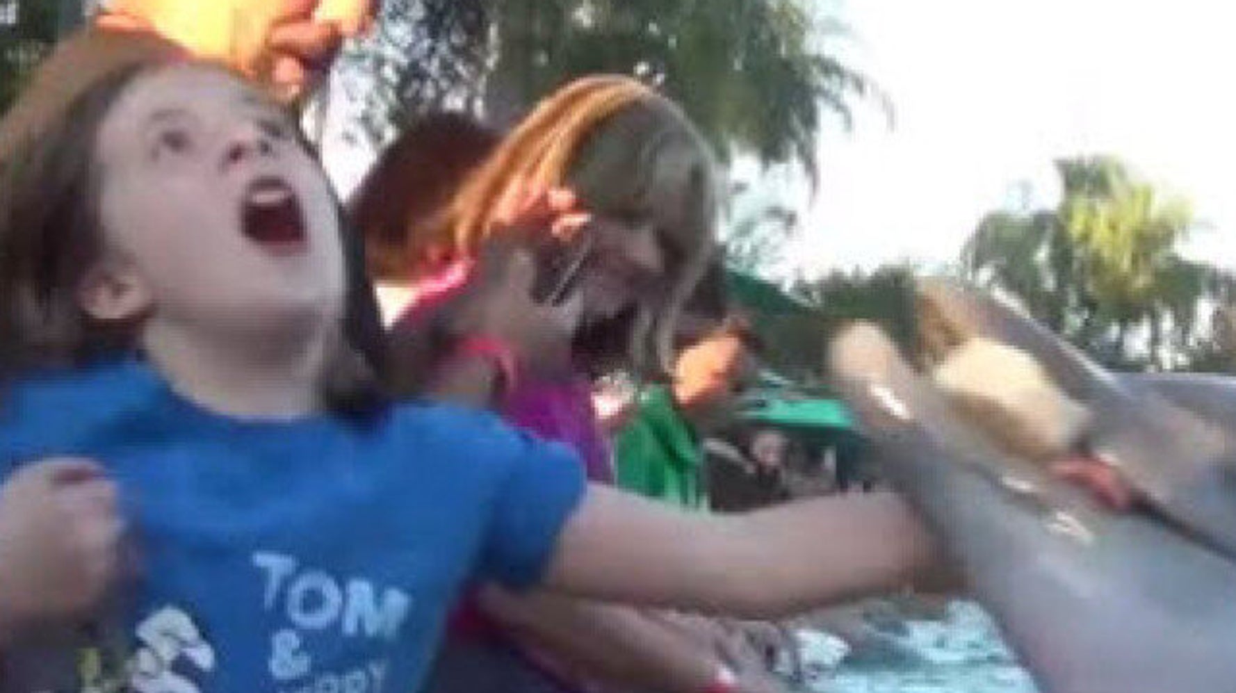 Dolphin Bites Jillian Thomas At SeaWorld VIDEO HuffPost News
