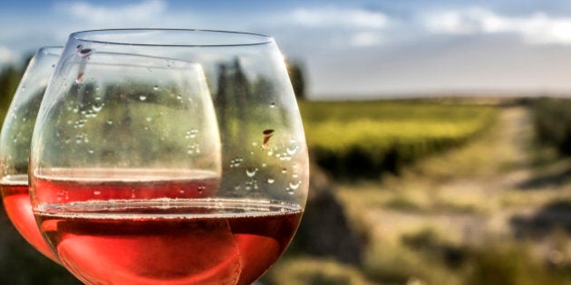 Forefront of a glasses of rosÃ© wine, as a background, the vineyard and the Andes. Mendoza, Argentina.