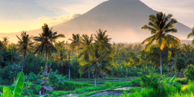 Indonesia, Bali, East Bali, Amlapura, Rice Fields and Gunung Agung Volcano