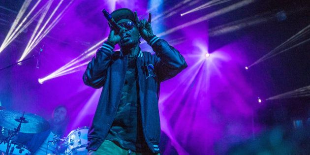 AUSTIN, TX - NOVEMBER 10: Rapper Teren Delvon Jones aka Del the Funky Homosapien of Deltron 3030 performs on stage during Day 3 of Fun Fun Fun Fest at Auditorium Shores on November 10, 2013 in Austin, Texas. (Photo by Rick Kern/Getty Images)