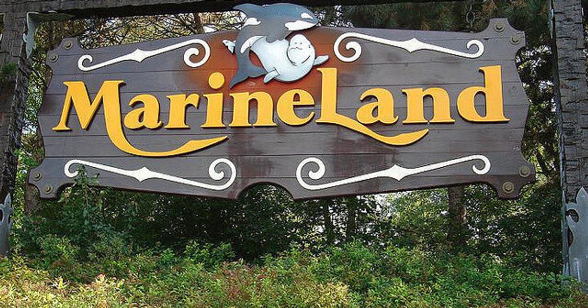 FAQS about Marineland