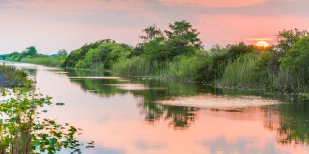 This is a horizontal, color, royalty free stock photograph shot with a Nikon D800 DSLR camera. The sky at dusk reflects pastel colors on the tranquil water's surface. Lilly pads float on this wetland landscape. Trees fill the background.