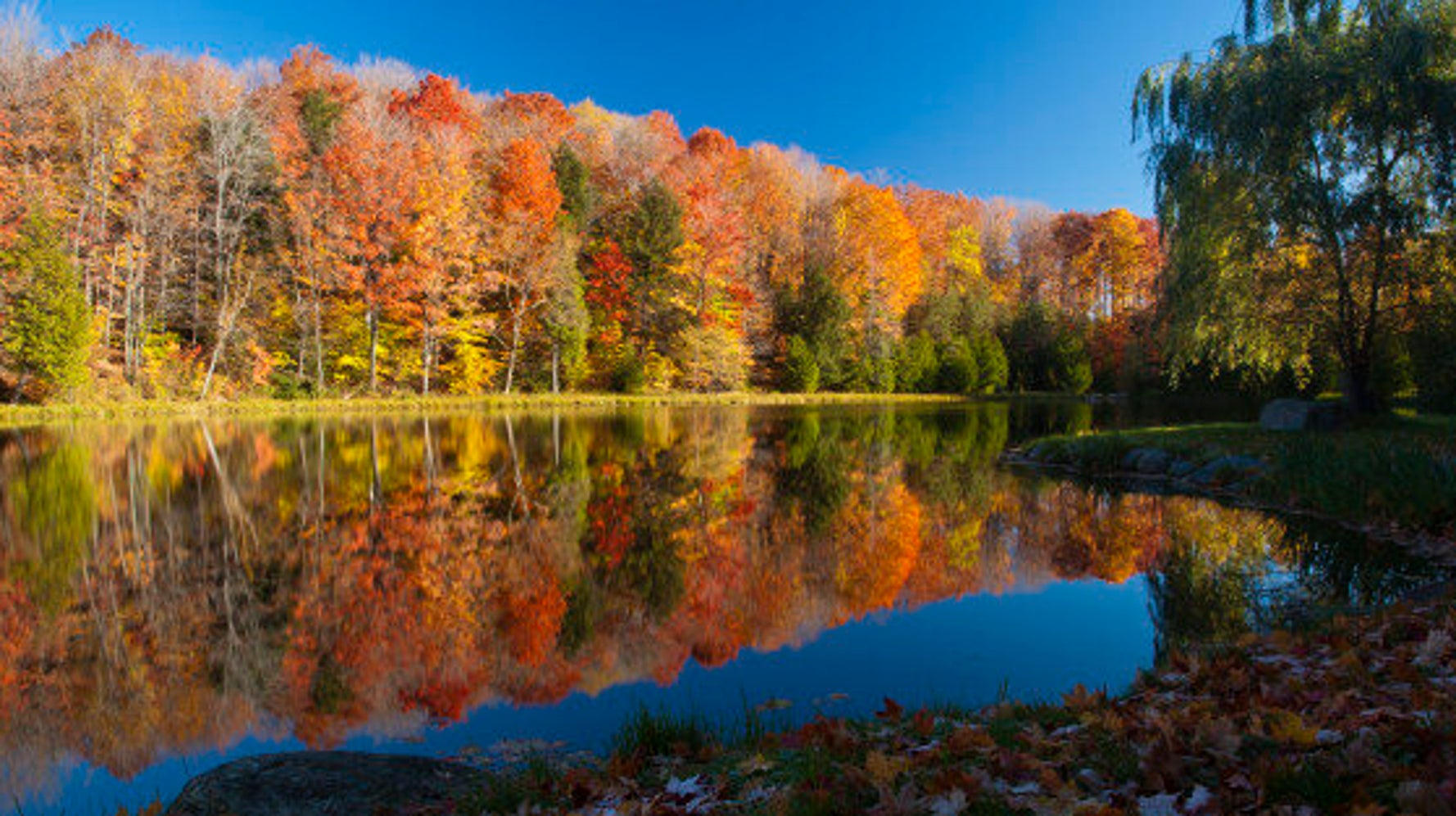 The Ultimate Fall Foliage Tour Through Ontario HuffPost Canada News