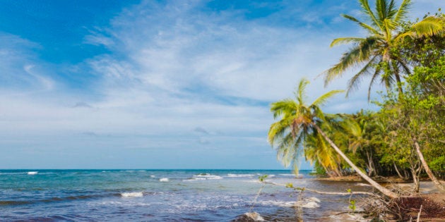 This is a horizontal, color, royalty free stock photograph of a remote tropical beach along the Caribbean coast in the Limon province of Costa Rica. This idyllic landscape is part of the Gandoca Manzanillo National Park. Palm trees line the shore of the blue sea. There is lots of copy space in the sky. Photographed on a bright sunny day with a Nikon D800 DSLR camera.