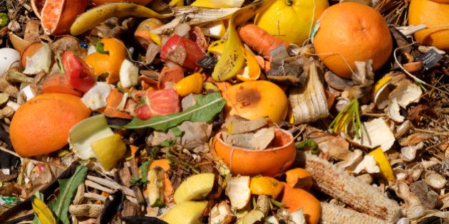 Organic kitchen waste in compost pile close up including grapefruit and lemon rinds, peanut shells, tea bags, carrot tops, banana skins, egg shells, lettuce, tomatoes, apple cores and corn cobs