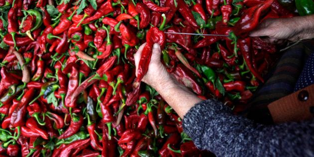 In this photo taken Monday, Sept. 23, 2013, a woman strings peppers preparing themt for drying in the village of Donja Lokosnica, 200 kilometers (125 Miles) south of Serbian capital, Belgrade. The village, Donja Lokosnica is well known for its bell and chilli peppers, which local residents make into paprika spice. Out in the fields, peppers - which only grow close to the banks of the Juzna Morava river - are first picked before being transported to the village to be strung from countless buildings and houses. With every house - including roofs, garages and walls - covered in peppers, each establishment produces around 2-3 tonnes of paprika each year. (AP Photo/Darko Vojinovic)