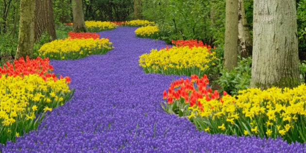 Gorgeous Springtime Spots You Should Visit For Some