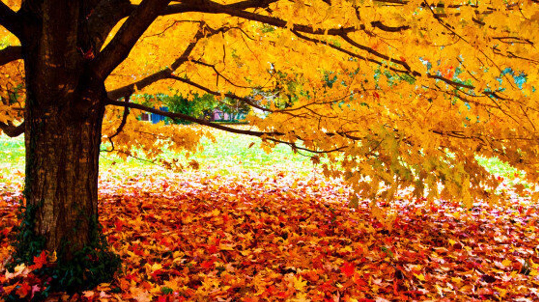 5 Must-Visit Fall Foliage Destinations On America's East Coast ...