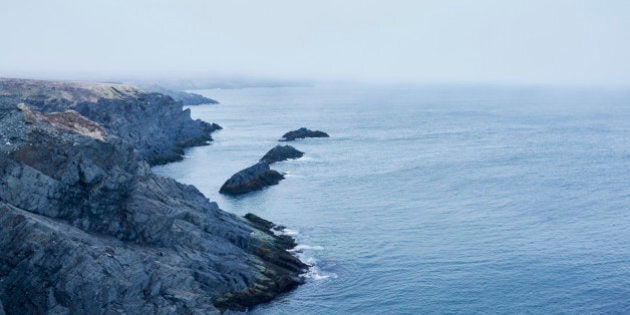 Fog and storm along the Atlantic Ocean shoreline of Mistaken Point Ecological Reserve in the Avalon Peninsula of Newfoundland and Labrador.