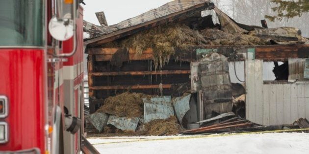 MOUNT FOREST, ON - JANUARY 15: Another barn fire involving the death of horses in Southern Ontario has occurred on a property just outside the town of Mount Forest. Twelve horses perished in the overnight fire, with one escaping the flames. A local man as well as the property owner attempted to extinguish the fire but it was fully involved once the fire department responded. The owner of the property is in hospital with smoke inhalation. He does not have any life threatening issues. (Rick Madonik/Toronto Star via Getty Images)