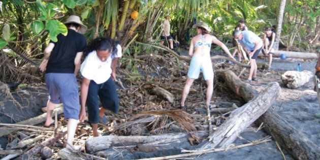 A group clearing logs and debris from a recent flood (to give the leatherback more high-and-dry places to dig her nest). (Photo by Pokin Yeung/MCT/MCT via Getty Images)