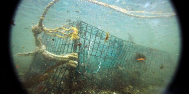 In this Friday, Nov. 13, 2009 photo, a lost lobster trap sits on the ocean floor off Biddeford, Maine. Marine biologists say
