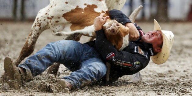 K.C. Jones of Decatur, Texas wrestles a steer in the steer wrestling event during Championship Sunday at the finals of the Calgary Stampede rodeo in Calgary, Alberta, July 12, 2015. REUTERS/Todd Korol