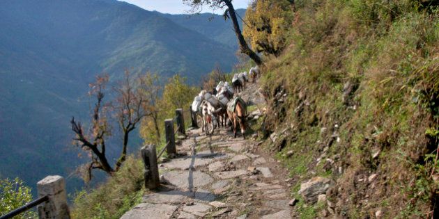 Trekking in Annapurna, on the way from Ghorepani (Poon Hill) to Ghandruk.