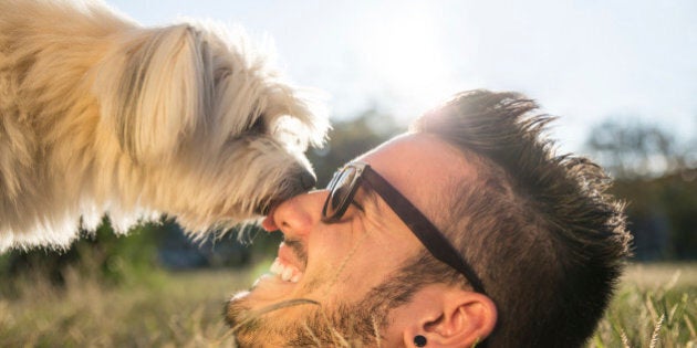 Dog and his owner - Cool dog and young man having fun in a park - Concepts of friendship,pets,togetherness