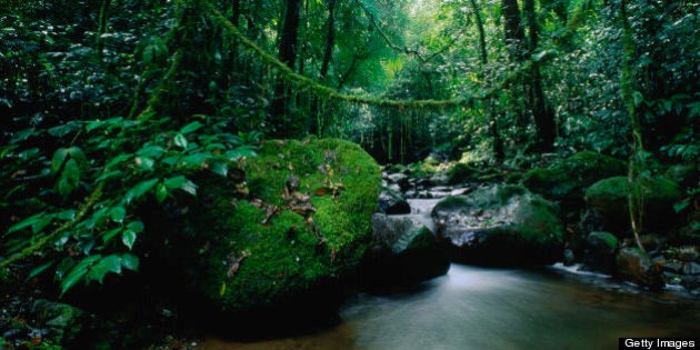 Darien National Park, Darien, Panama, Central America