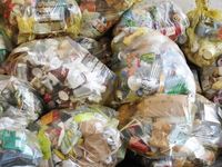 Corner Brook looks at recycling more clearly, with see-through garbage bags