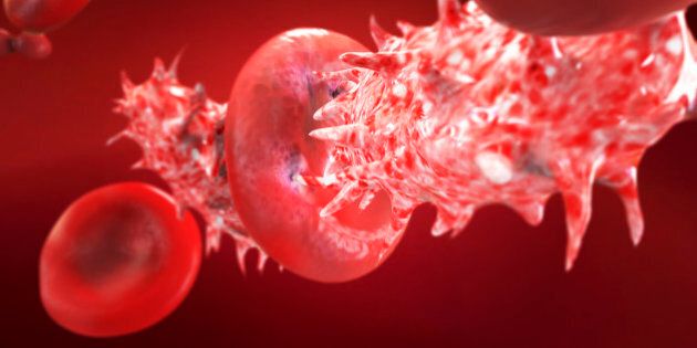 Blood cell is attacked by bacteria and viruses