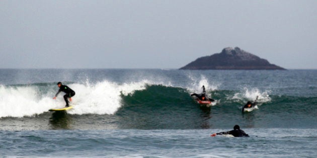 Men surf on Saint Claire beach, as White Island is seen in the back, on the coast of Dunedin, September 7, 2011. REUTERS/Marcos Brindicci (NEW ZEALAND - Tags: ENVIRONMENT TRAVEL)