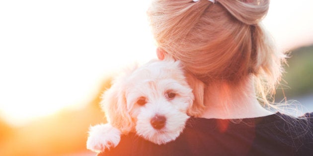 Girl with a young dog enjoying a beautiful day