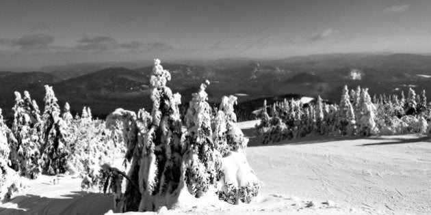 Ski slopes and snow covered trees in Mont Tremblant, QuÃ©bec