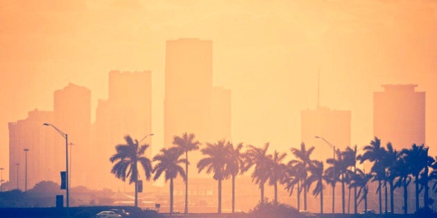 back lit orange toned sunset miami scene - a line of palm trees in the foreground lining beside the highway connecting miami with the beaches and the brickell skyline in the background