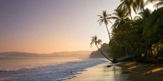 Colourful sunset on palm fringed beach, Bahia Drake (Drakes Bay), Osa Peninsula, Costa Rica