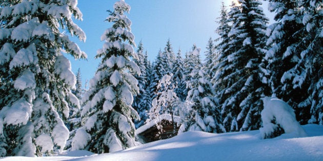 Isolated cabin in snow covered forest