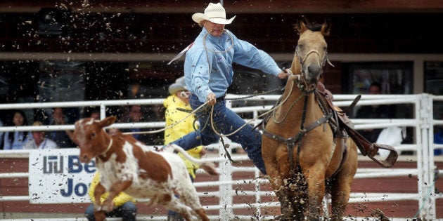 CALGARY, AB - JULY 11: Clif Cooper leaps off his horse while chasing down a calf during the tie-down roping competition in the rodeo at the Calgary Stampede on July 11, 2011 in Calgary, Alberta, Canada. The ten day event, drawing over one million visitors, is Canada's largest annual rodeo and is billed as the 'Greatest Outdoor Show on Earth.' (Photo by Mario Tama/Getty Images)