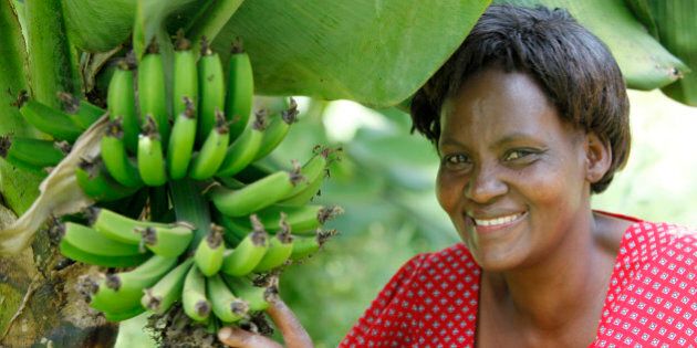 Janet Karimi, in her garden, has been a client of KWFT microfinance since 2007. She is currently servicing a loan of 100,000 KS, Kenya. (Photo by: Godong/Universal Images Group via Getty Images)